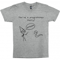 Programmer Harry T-Shirt Light Grey